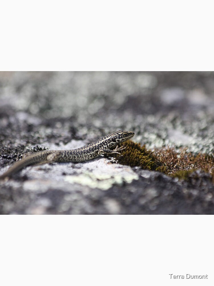 Grand skink with moss by Terra Dumont