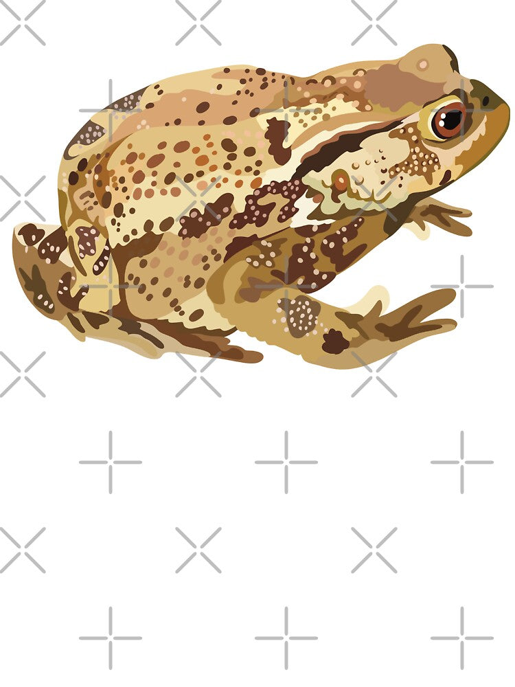 C is for Common Toad,Common Toad – Familiar British Amphibian Wildlife Illustration by PrettylittlepastelUk