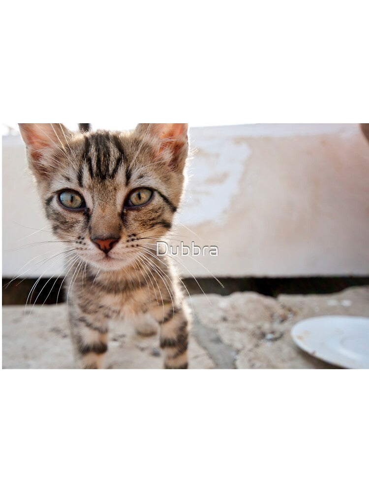 Kitty Cat by Dubbra