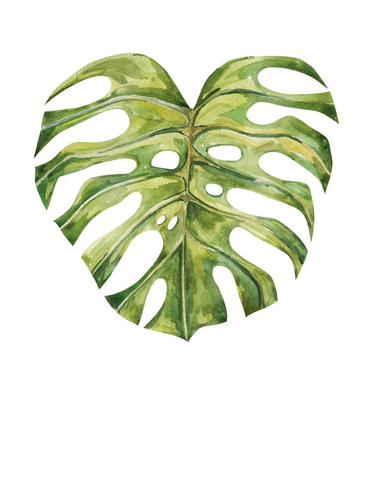 Tropical Heart Shaped Monstera Leaf Watercolor Illustration by the-myro