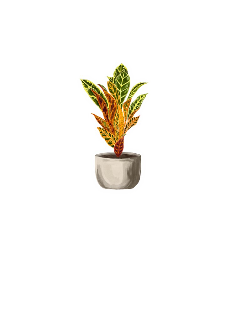 Codiaeum by WoohooArt7