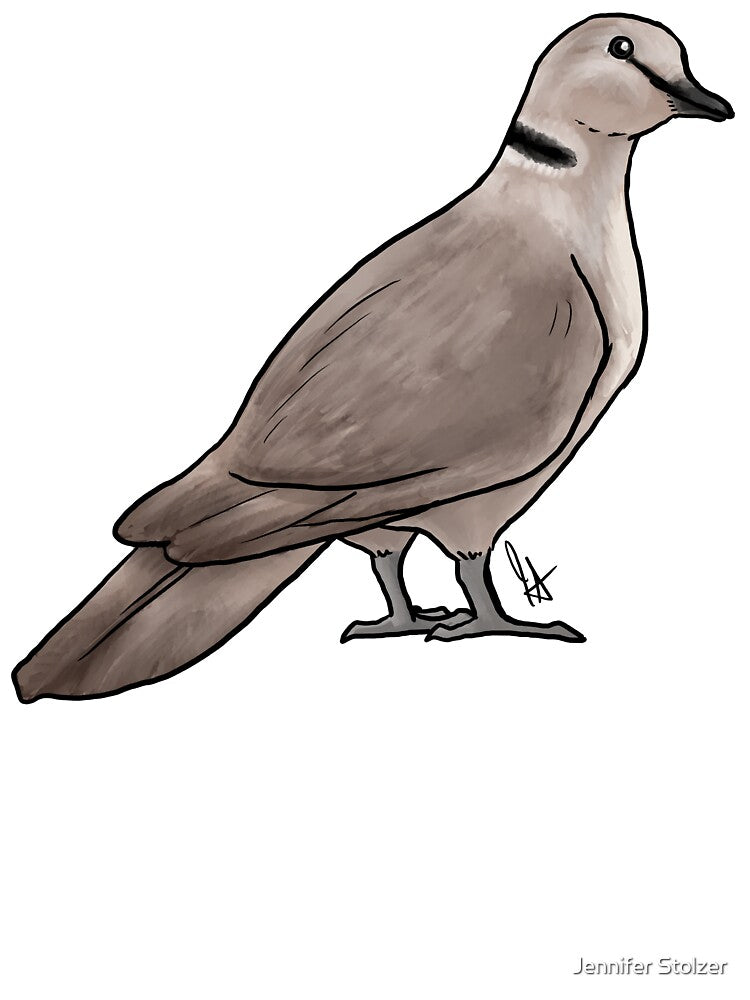Ring-Necked Dove by Jennifer Stolzer