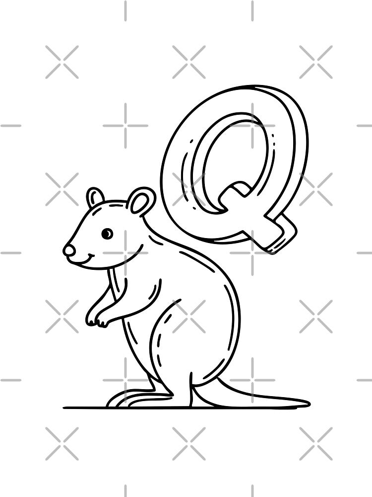 An Illustration of letter Q stand for Quokka by rasagamastore