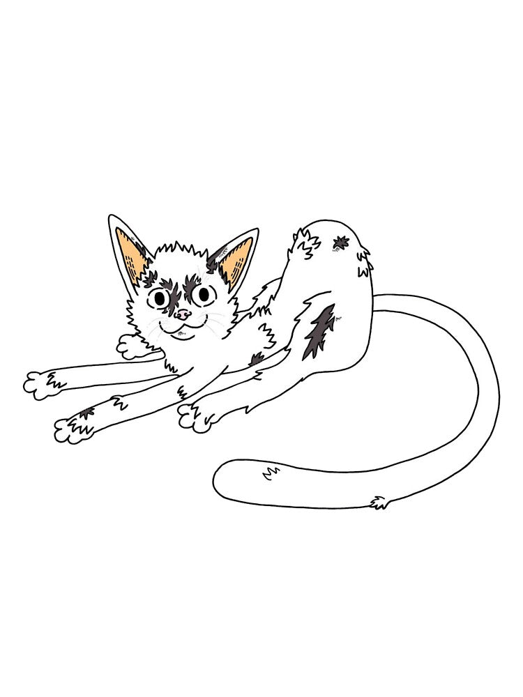 Scrappy White Kitten Long Tail Loaf by Salty-Dream