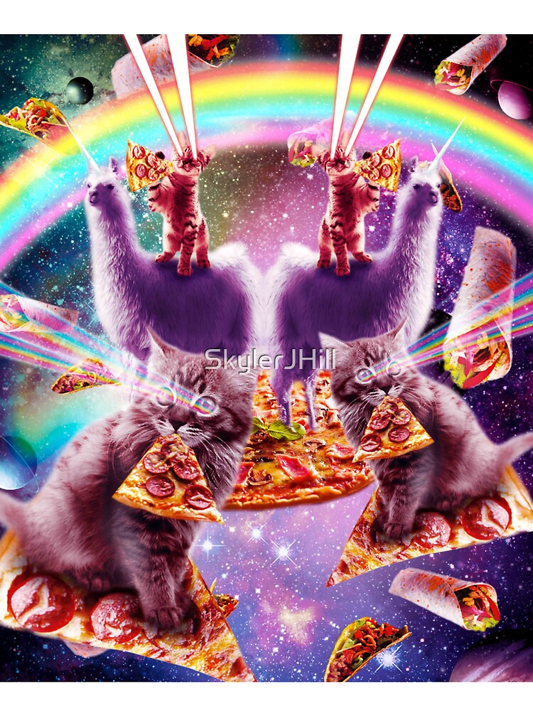 Laser Pizza Cat On Llama, Lazer Kitty Cats In Rainbow Space by SkylerJHill