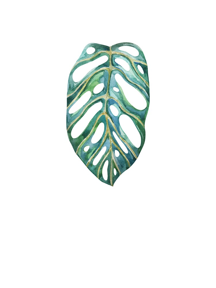 Tropical Monstera Adansonii Leaf Watercolor Art by the-myro