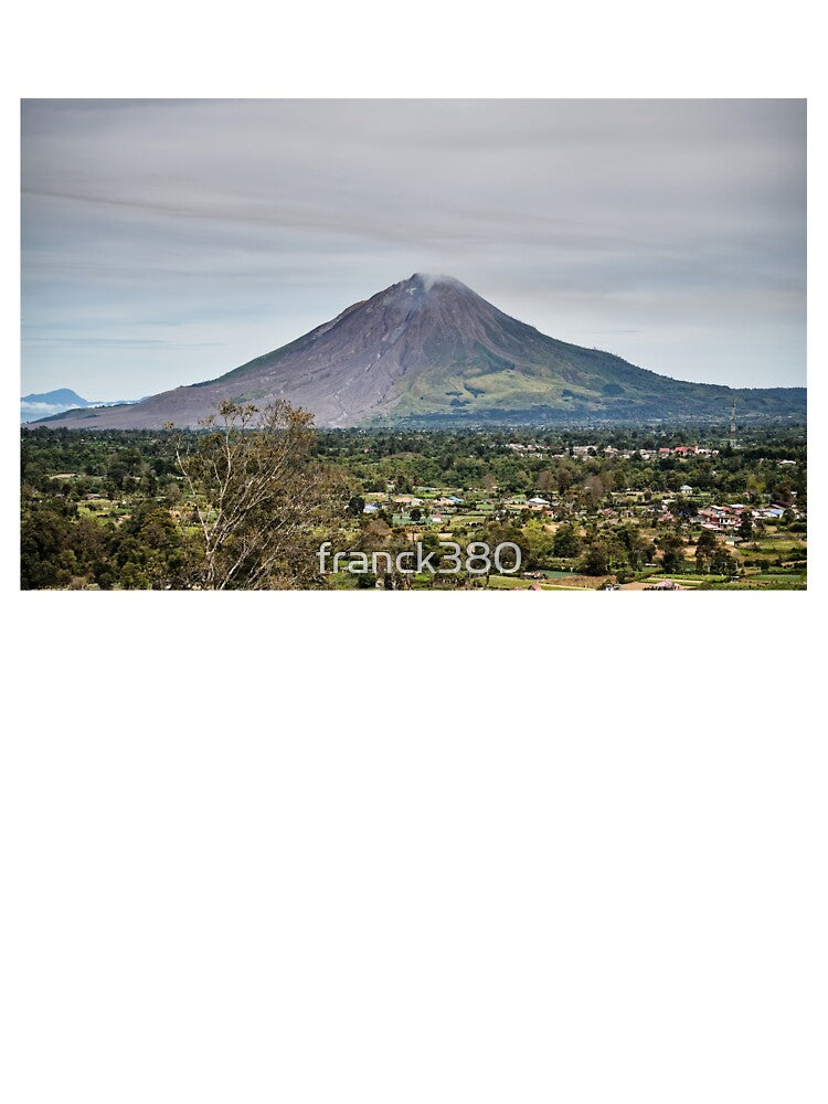 A vast panorama of the valley and its volcano by franck380