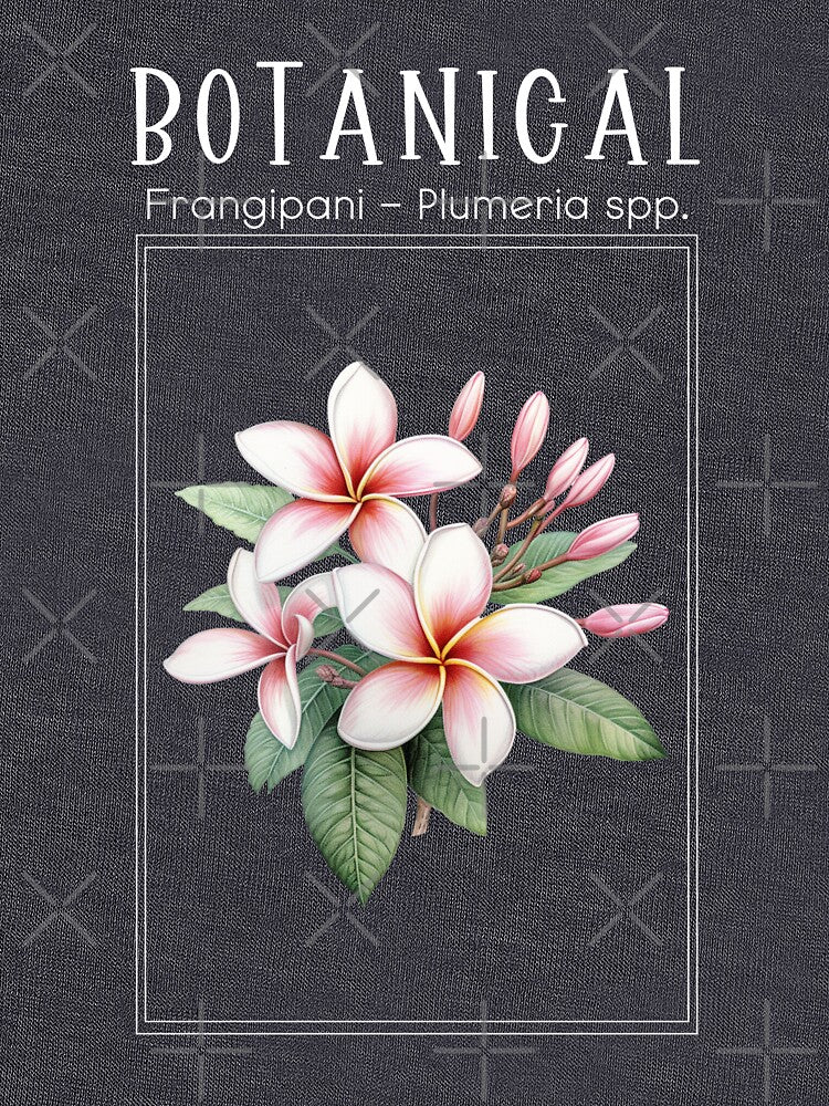 Frangipani - Plumeria spp. - Botanical Collection by StudioRedKoala