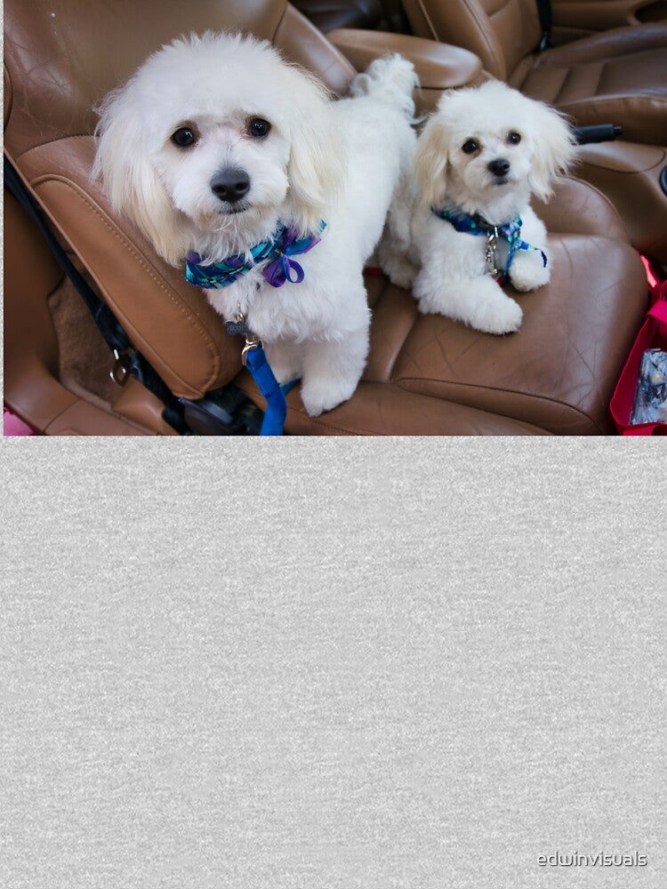 White Fluffy Dogs by edwinvisuals