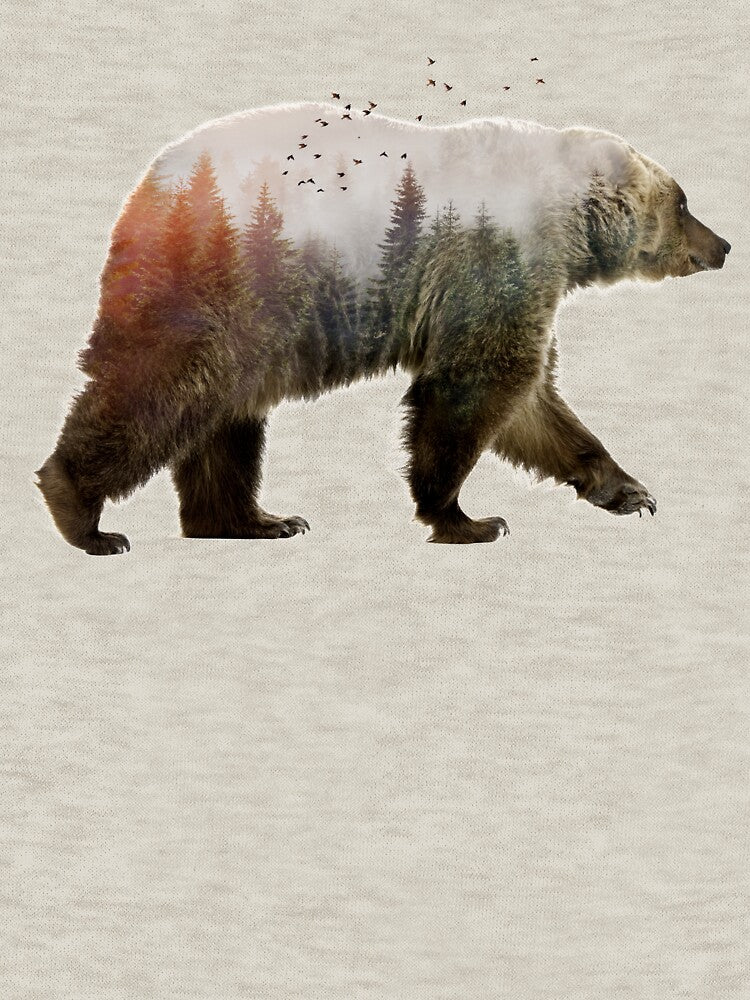 Bear by Sokol Selmani
