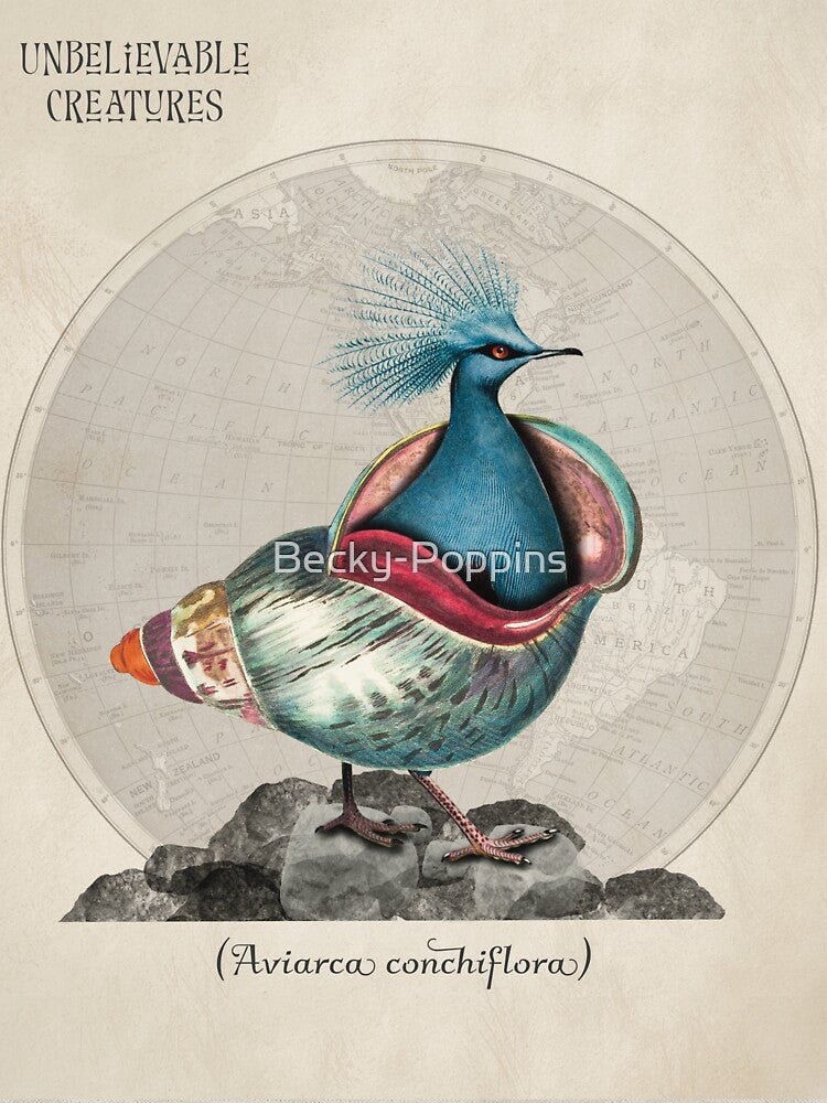 Aviarca Conchiflora | Surreal Bird Shell Collage Creature by Becky-Poppins