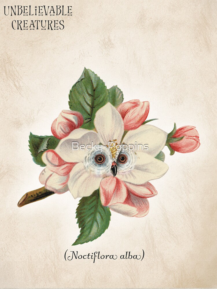 Noctiflora Alba | Floral Owl Surreal Fantasy Collage Creature by Becky-Poppins
