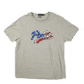 Polo Ralph Lauren Crew Neck T Shirt Mens XL Custom Slim Fit Logo Gray Flag Stars