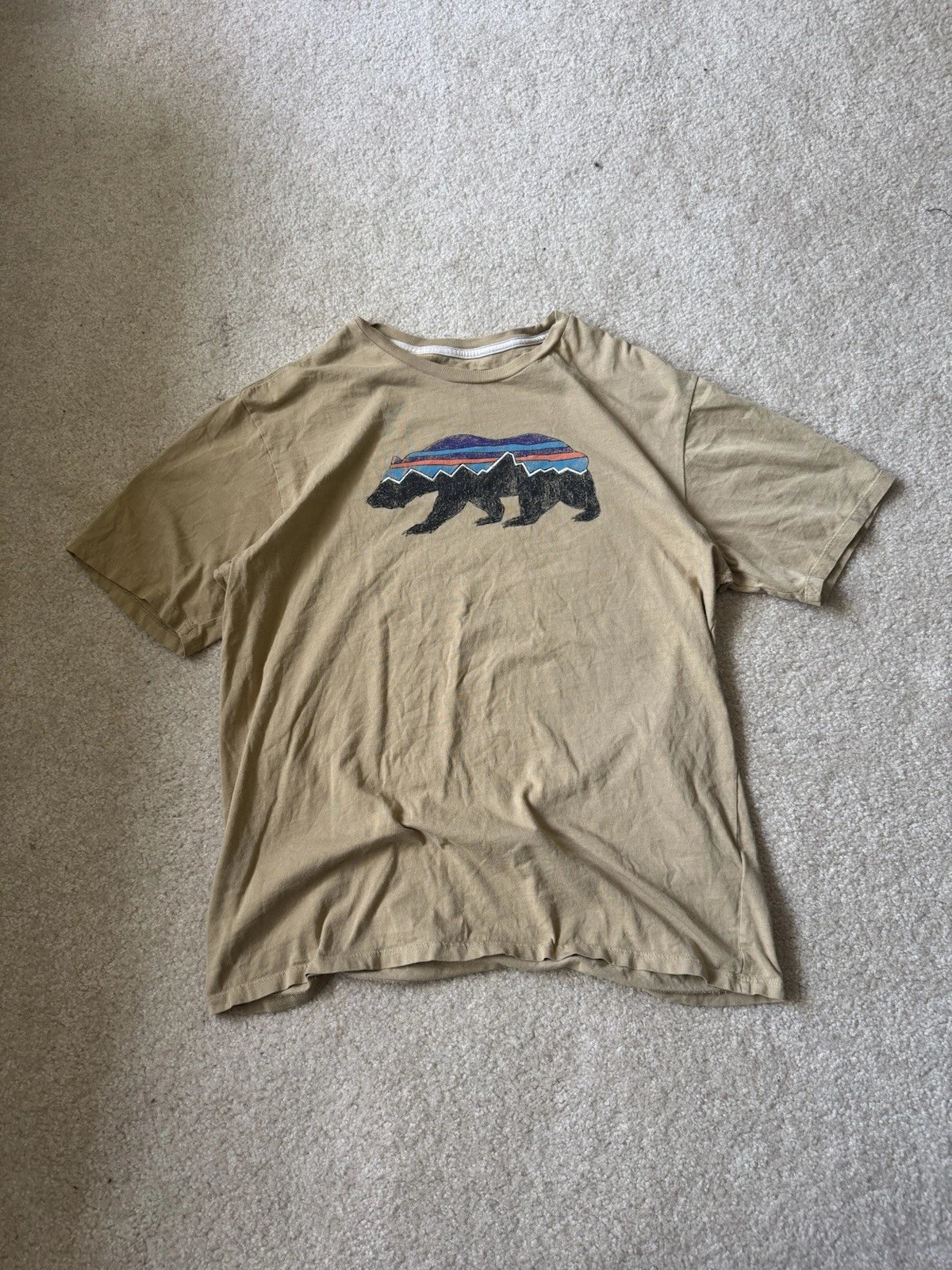 Patagonia Shirt Mens Large Tan Fitz Roy Bear Slim Fit Crew Neck Pullover Tee S
