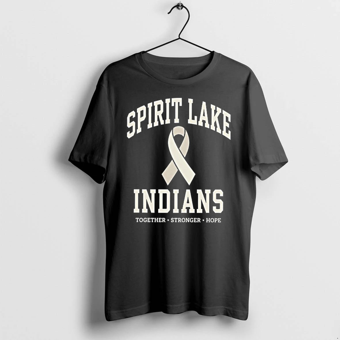 Spirit Lake Indians Together Stronger Hope 0 Tshirts Sweater