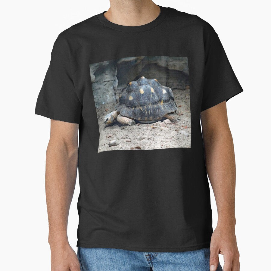 Radiated Tortoise by Strawflower Oasis