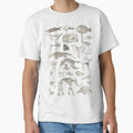 Paleontology Illustration by Go-Postal
