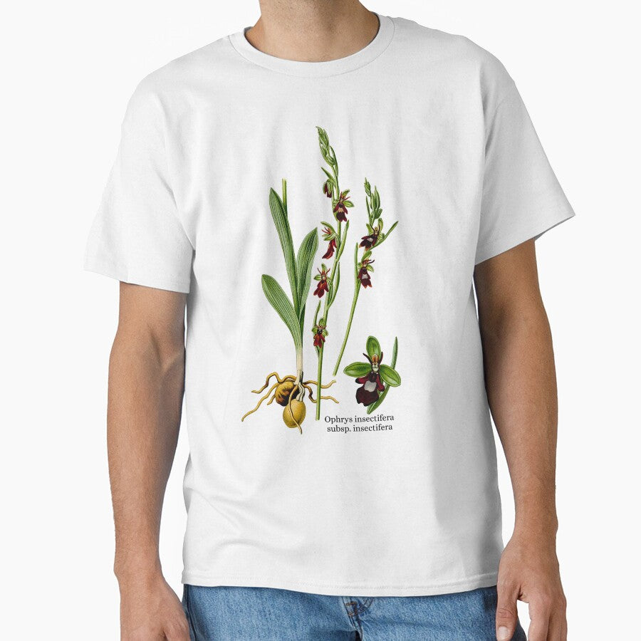 Ophrys insectifera, One Beautiful Bee Orchid by GreenVerseStore