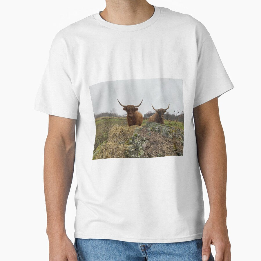 Scottish Highland Cattle Cows 3047 by SaarelaHighland