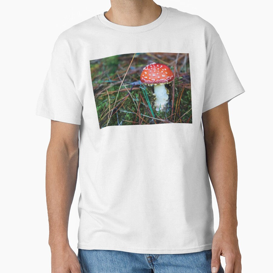 Baby Amanita Muscaria Mushroom in Mossy Pine Forest by Maddy the Maker