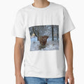 Scottish Highland Cattle Cow 3167 by SaarelaHighland