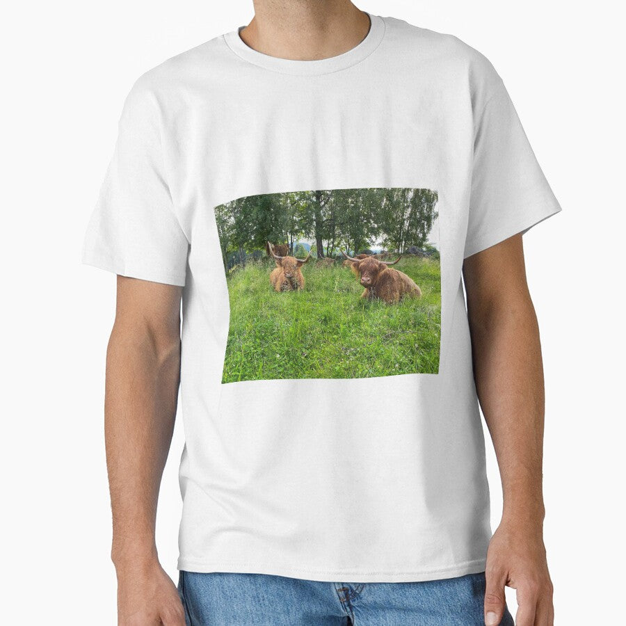 Scottish Highland Cattle Cows 2892 by SaarelaHighland