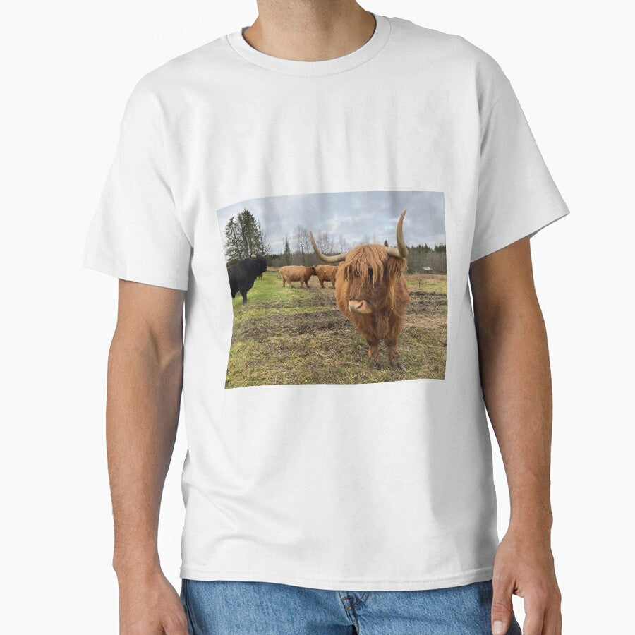 Scottish Highland Cattle Cow 3063 by SaarelaHighland