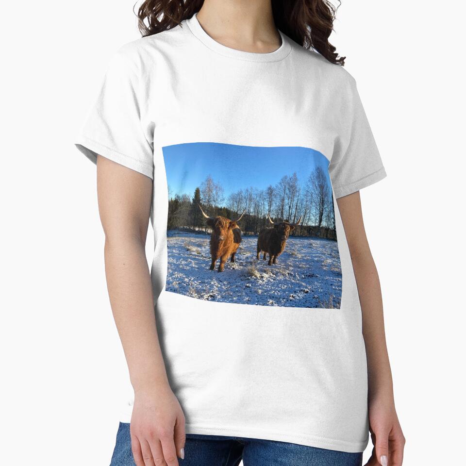Scottish Highland Cattle Cows 3064 by SaarelaHighland