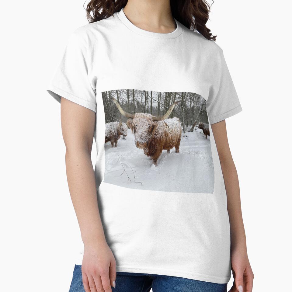 Scottish Highland Cattle Cow in snow 3092 by SaarelaHighland