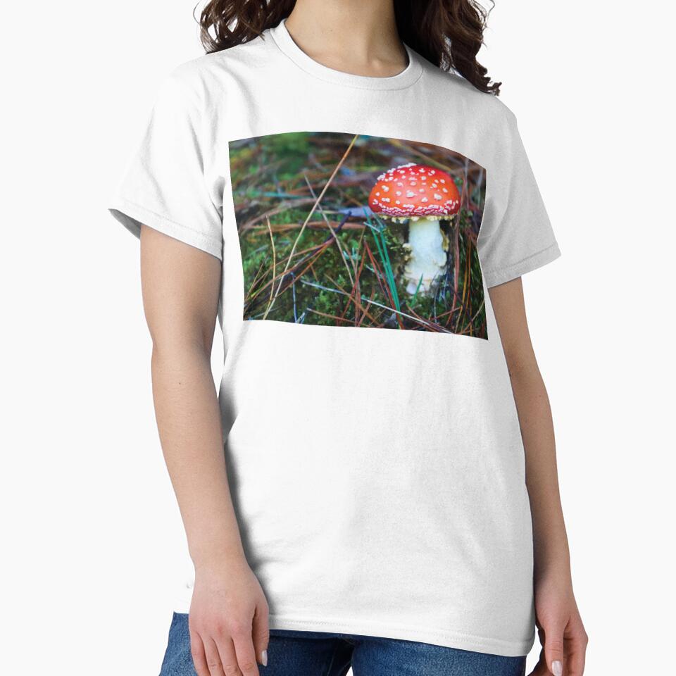 Baby Amanita Muscaria Mushroom in Mossy Pine Forest by Maddy the Maker