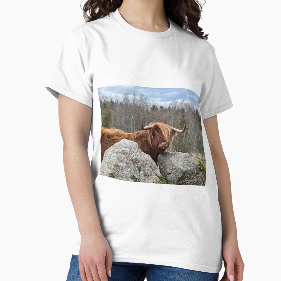 Scottish Highland Cattle Cow with cool hair 3327 by SaarelaHighland