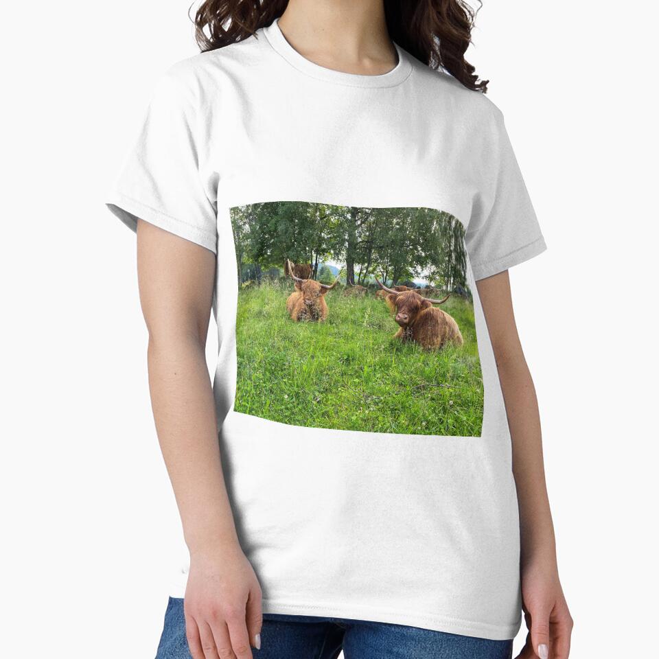 Scottish Highland Cattle Cows 2892 by SaarelaHighland