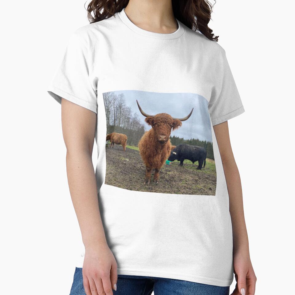 Scottish Highland Cattle Cow 3078 by SaarelaHighland
