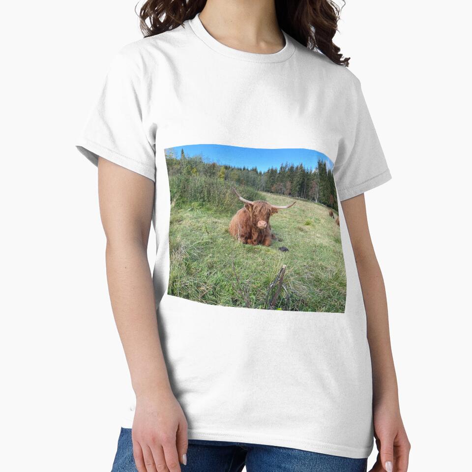 Scottish Highland Cattle Cow 2999 by SaarelaHighland