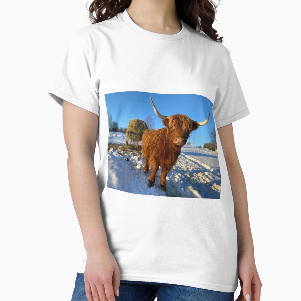 Scottish Highland Cattle Cow 3192 by SaarelaHighland
