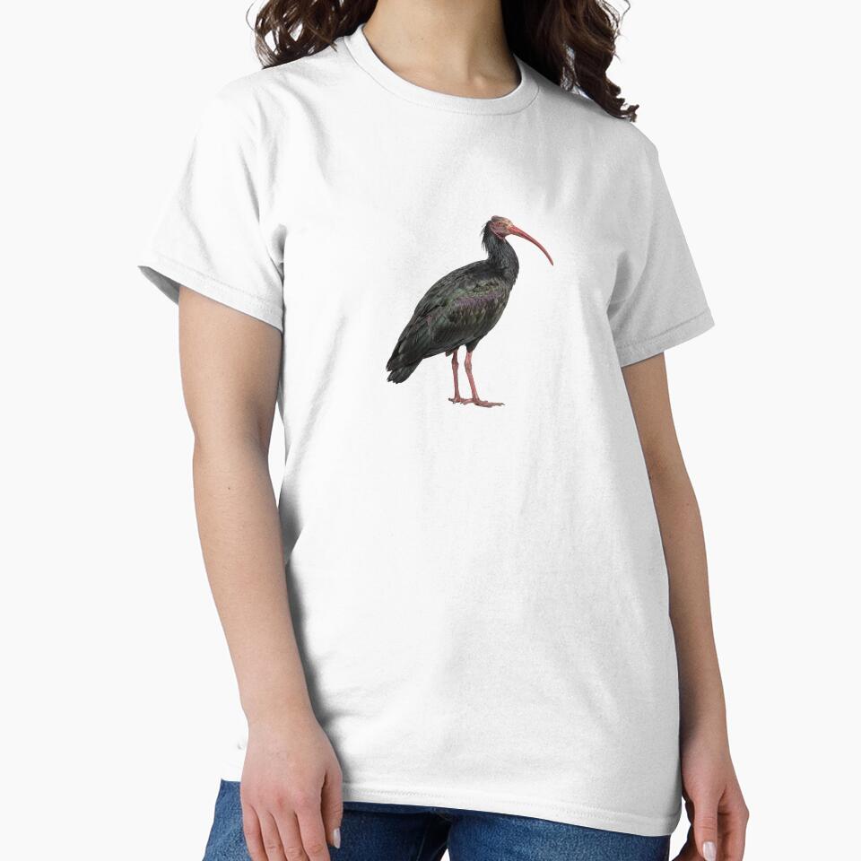 Northern Bald Ibis by ArunDandiboina