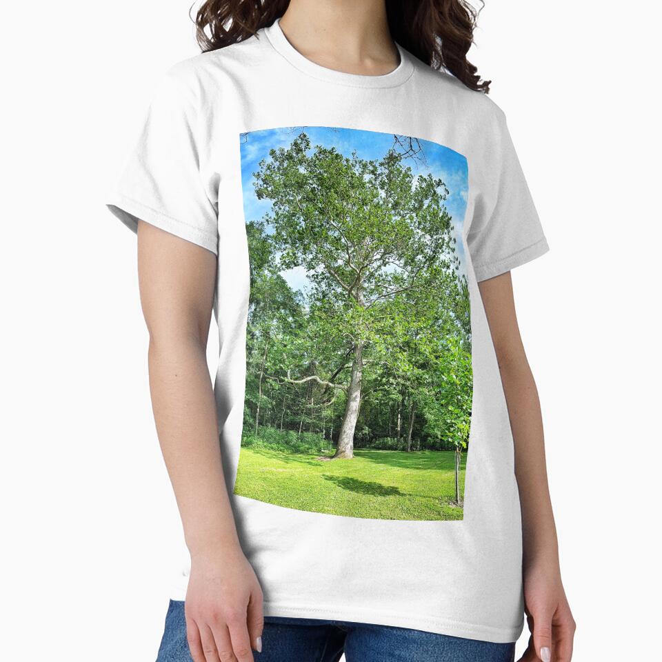 Big Tree with Rope Swing on a Sunny Summer Day by Dynahgrl