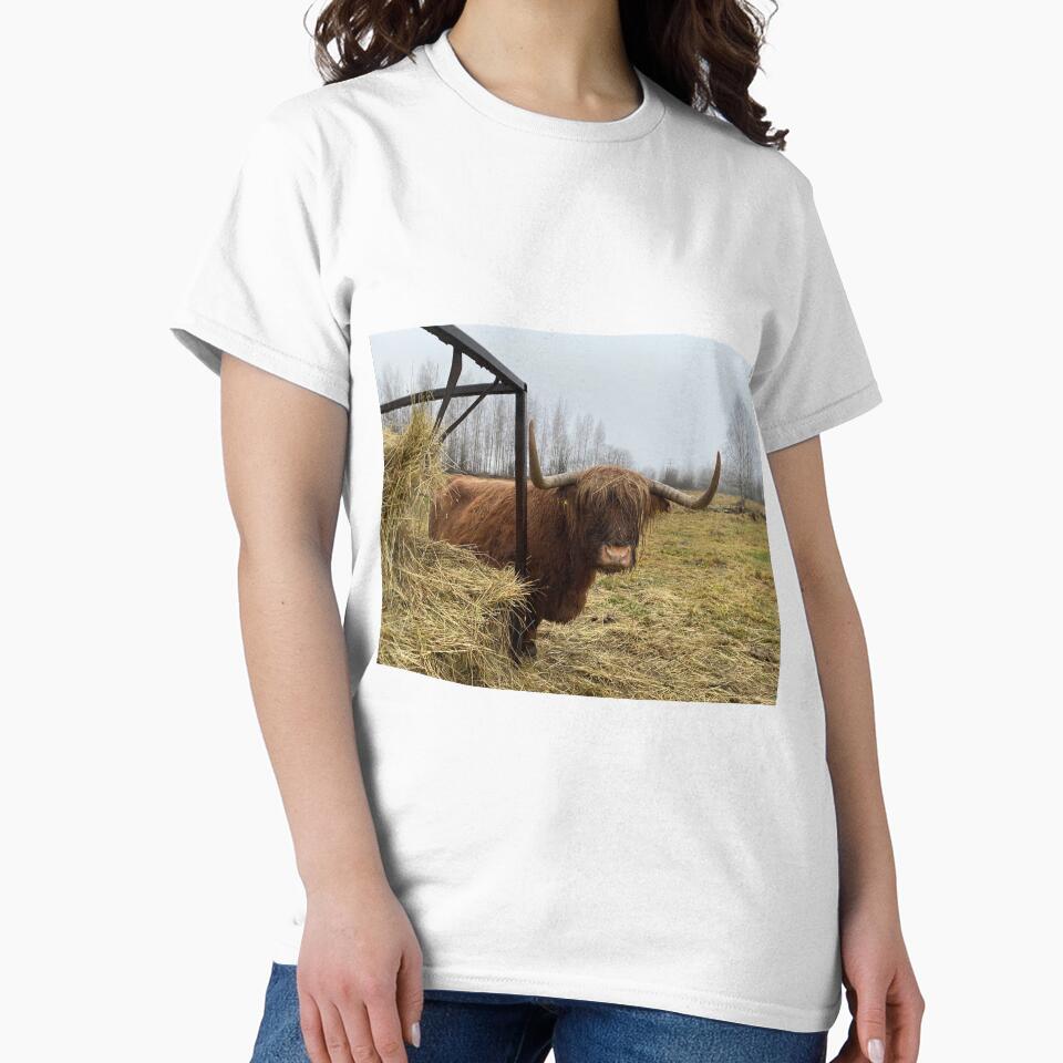 Scottish Highland Cattle Cow 3060 by SaarelaHighland