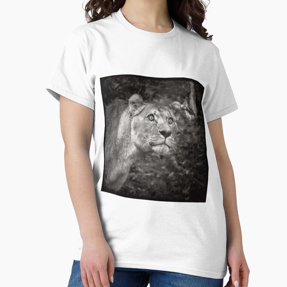 Lion Black & White by Conservation Art Emporium