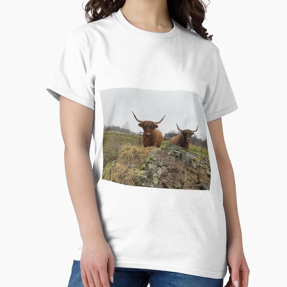 Scottish Highland Cattle Cows 3047 by SaarelaHighland