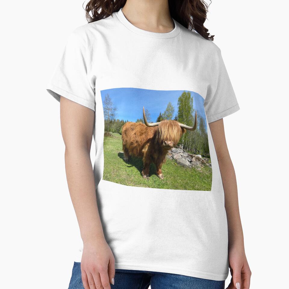 Scottish Highland Cattle Cow 3350 by SaarelaHighland