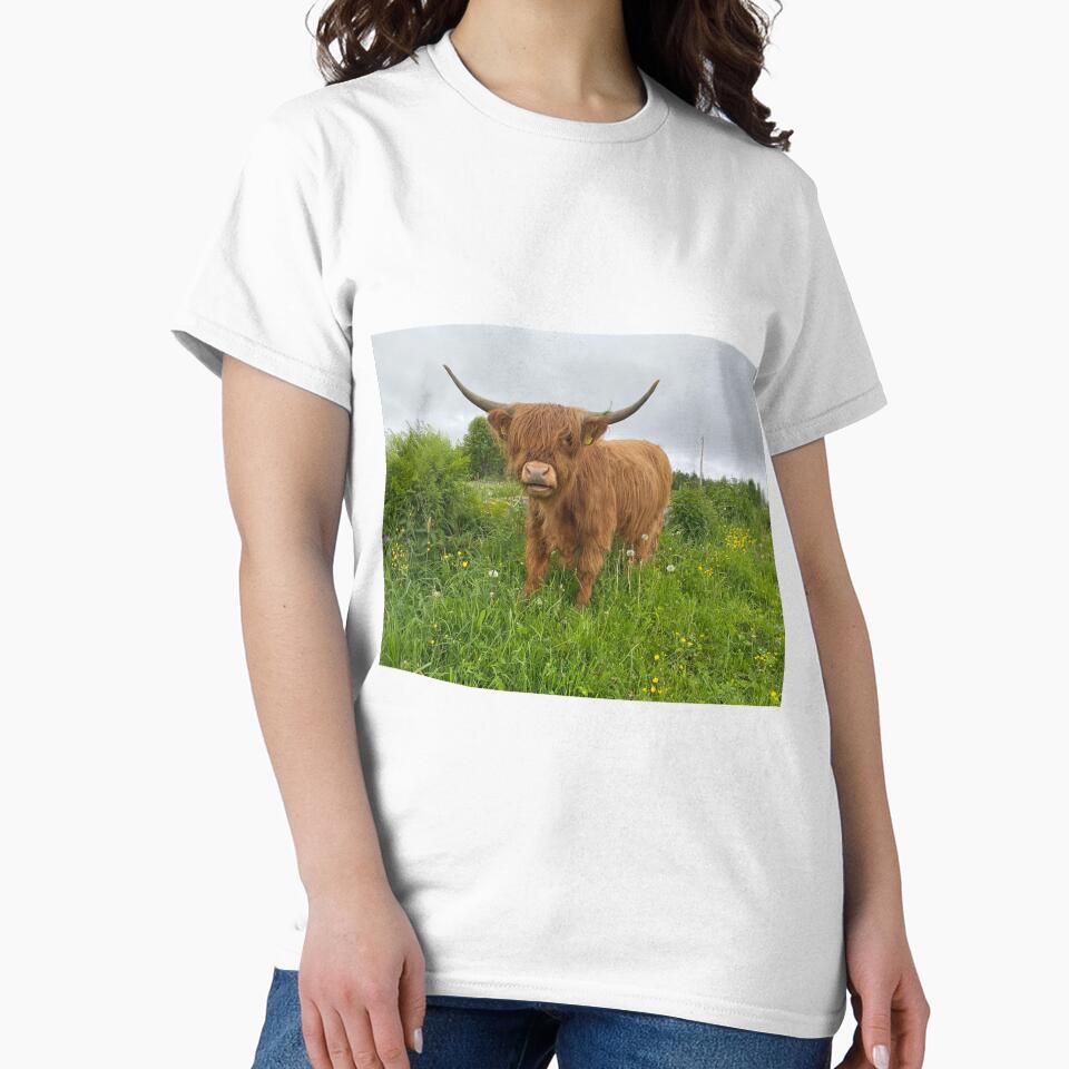Scottish Highland Cattle Cow 3368 by SaarelaHighland