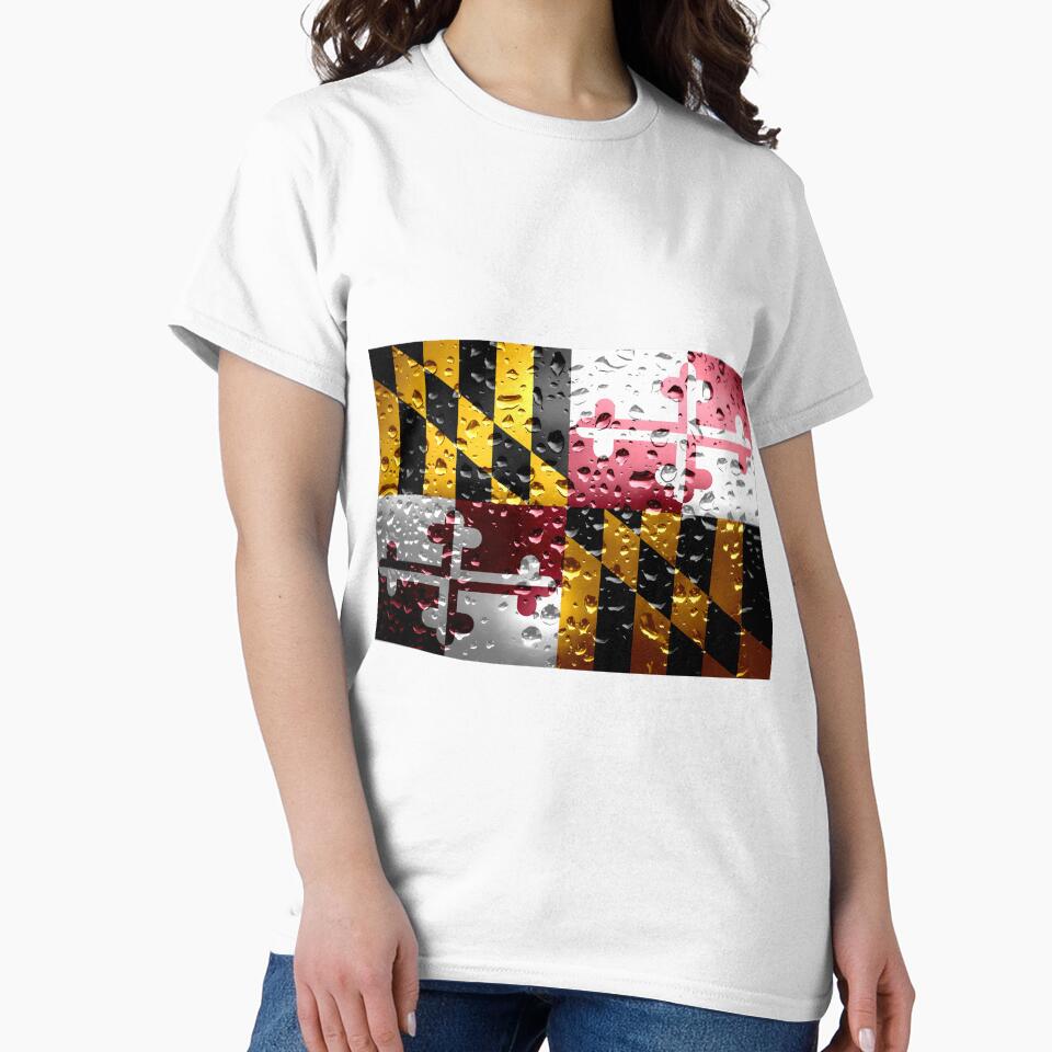 Rain Flag of Maryland by Dr-Pen