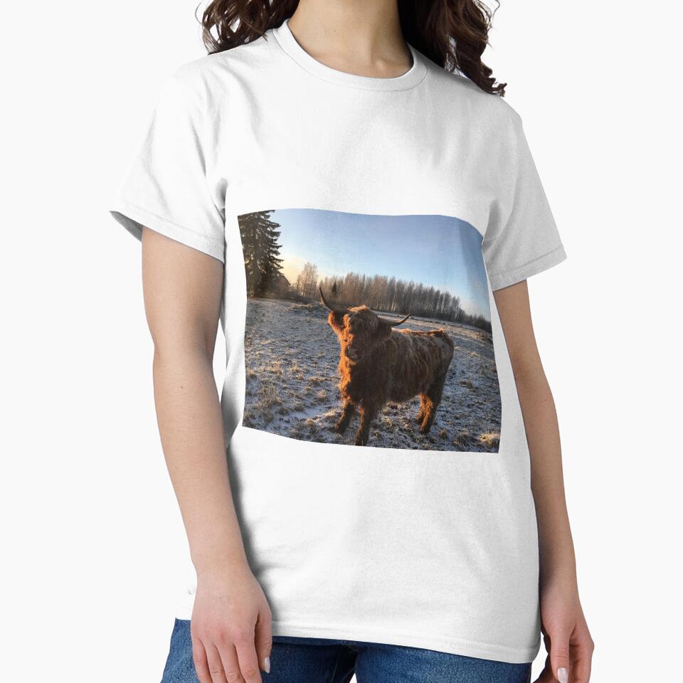 Scottish Highland Cattle Cow 1011 by SaarelaHighland