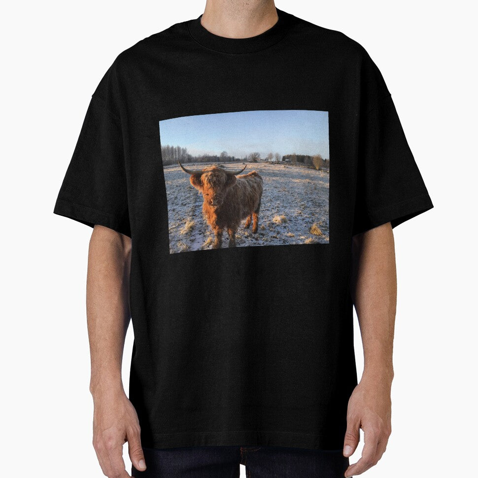 Scottish Highland Cattle Cow 1010 by SaarelaHighland
