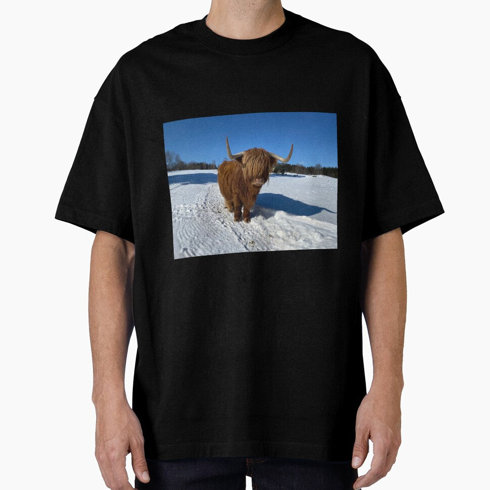 Scottish Highland Cattle Cow 3268 by SaarelaHighland