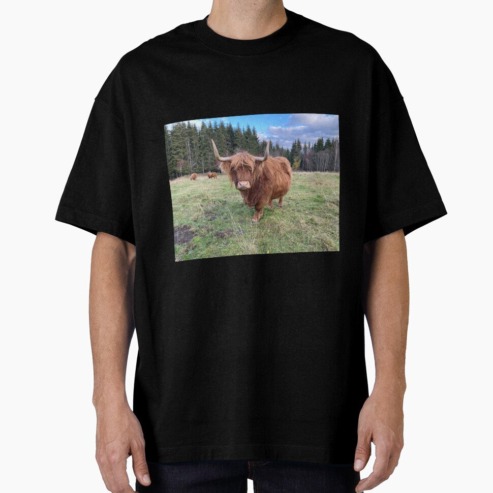 Scottish Highland Cattle Cow 3027 by SaarelaHighland