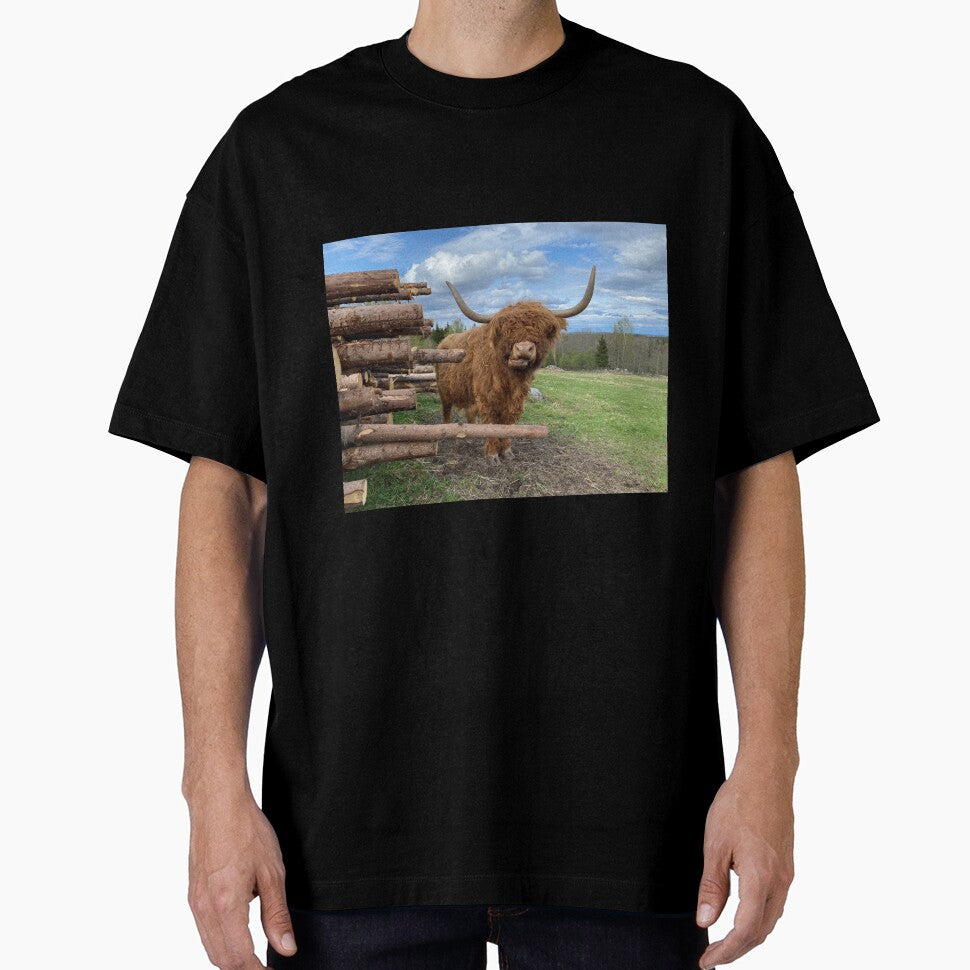 Scottish Highland Cattle Cow 3339 by SaarelaHighland