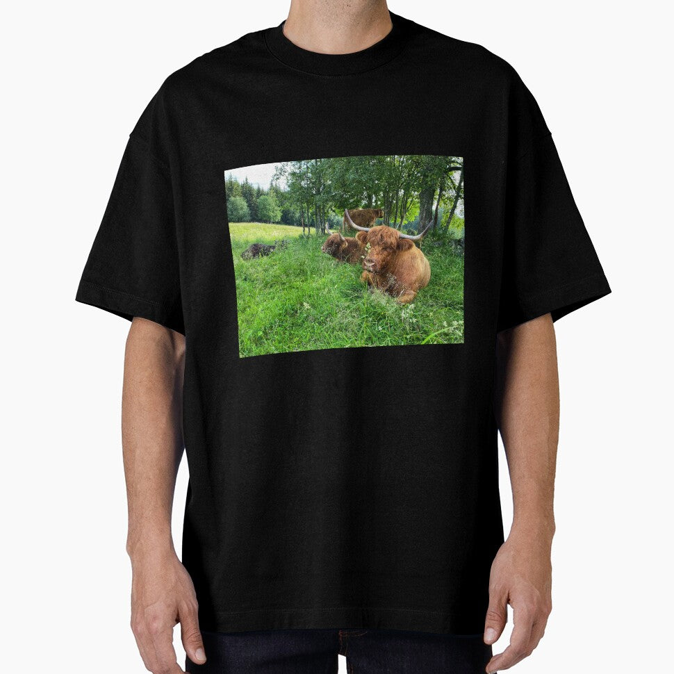 Scottish Highland Cattle Cows 2894 by SaarelaHighland