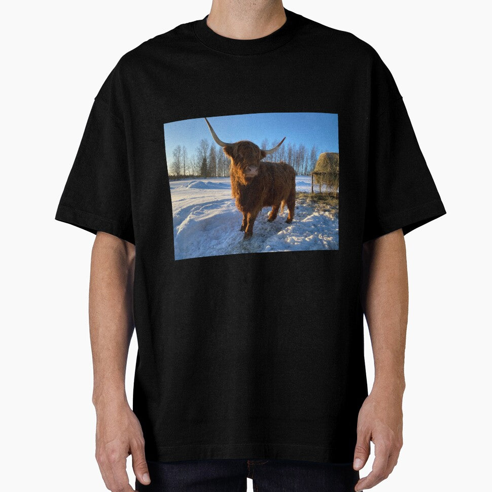 Scottish Highland Cattle Cow 3191 by SaarelaHighland